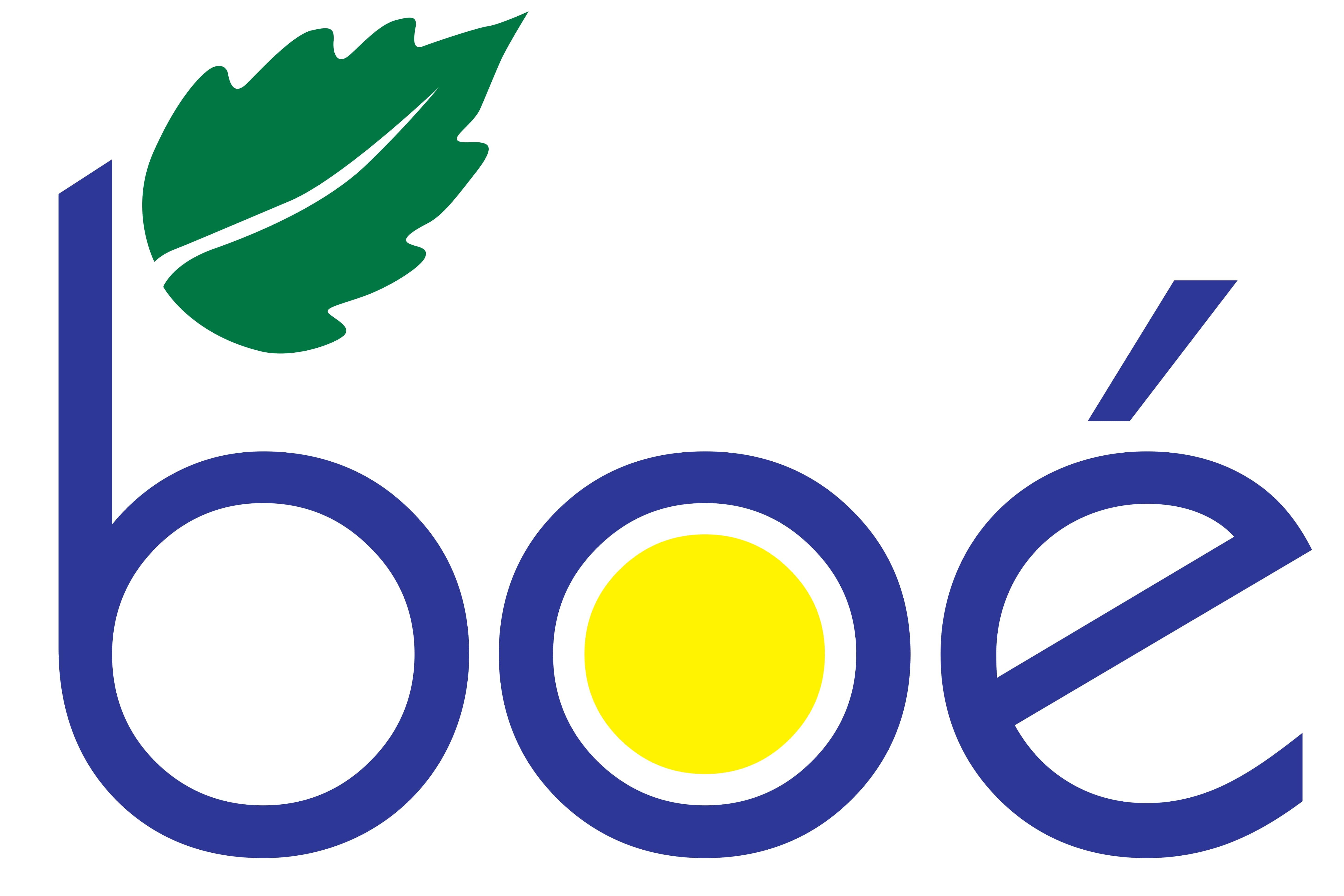 Logo BOE DOMINICANA SRL