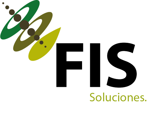 Logo FIS SOLUCIONES