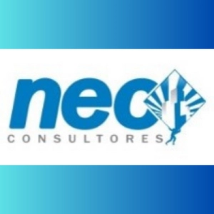 Logo Neo Consultores