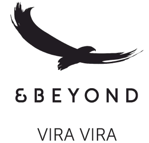 Logo And Beyond Chile Spa