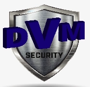 Logo DVM SECURITY SPA