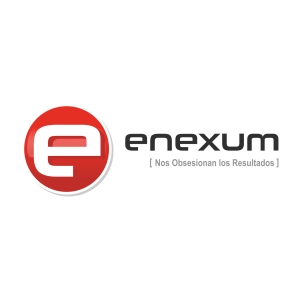 Logo Enexum S.A