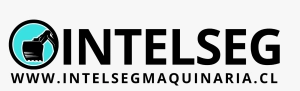 Logo INTELSEG SPA