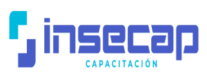 Logo Insecap spa