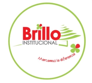 Logo BRILLO INSTITUCIONAL SAS