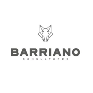 Logo CONSULTORIA BARRIANO