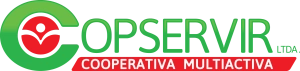 Logo COPSERVIR LTDA