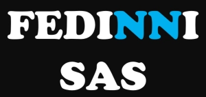 Logo FEDINNI