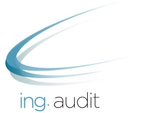 Logo ING AUDIT SAS