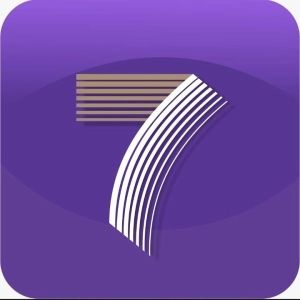 Logo Línea 7 Servicios SAS