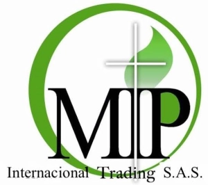 Logo MIP INTERNACIONAL
