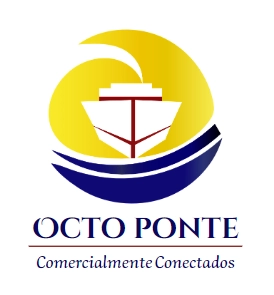 Logo Octo Ponte S.A.S