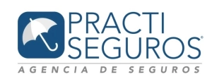 Logo Practiseguros Ltda