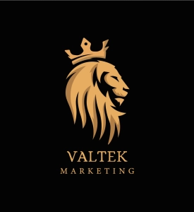 Logo VALKET MARKETING