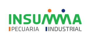 Logo INSUMMA BG
