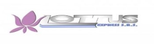 Logo LOTTUS EXPRESS SAS