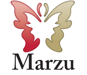 Logo IMPORTACIONES MARZU