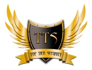 Logo Seguridad de nivel superior s.a