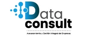 Logo DC DATA CONSULT