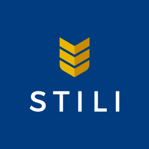 Logo Stili