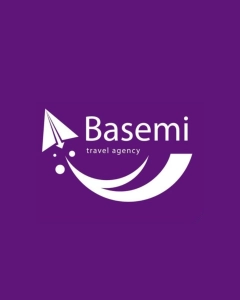 Logo BASEMI LLC