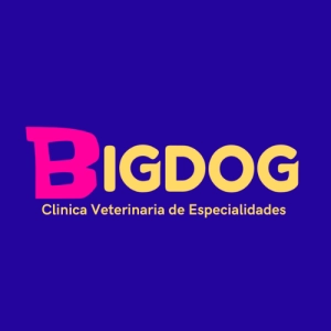 Logo CLINICA VETERINARIA BIGDOG