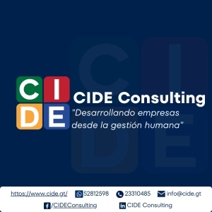 Logo CIDE Consulting