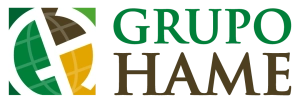 Logo Grupo Hame