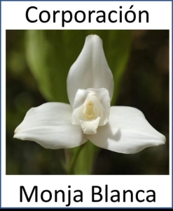 Logo Serviempleos Monja Blanca, S.A.
