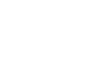 Logo TECNASA