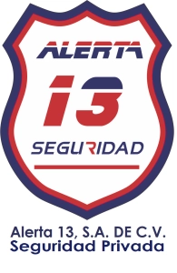 Logo ALERTA 13