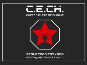 Logo C.E.CH. SEGURIDAD PRIVADA