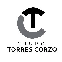 Logo Corporativo Nissan Torres Corzo