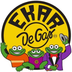 Logo EKAR DE GAS