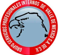 Logo GRUPO SERVICIOS PROFESIONALES INTERNOS DE VALLE DE MEXICO