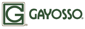 Logo Gayosso