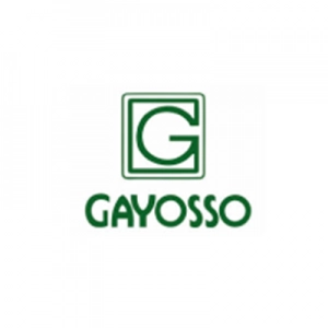 Logo Grupo Gayosso