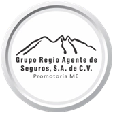 Logo Grupo Regio Agente de Seguros S.A. de C.V.