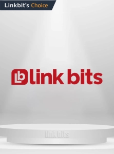 Logo LINK BITS