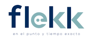 Logo LOGIFLEKK