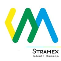 Logo Selección Estratégica Talento Mexicano