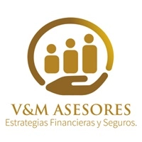 Logo VALIMA LIFE Y ASESORES SC