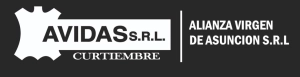 Logo ALIANZA VIRGEN DE ASUNCION S.R.L.