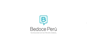 Logo Bedoce Perú SAC