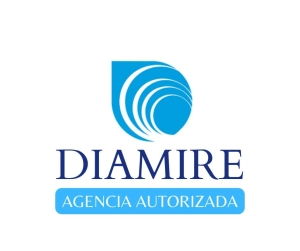 Logo DIAMIRE