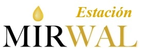 Logo ESTACIÓN MIRWAL