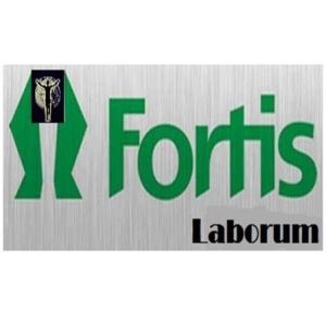 Logo FORTIS LABORUM