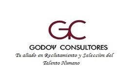 Logo GODOY CONSULTORES