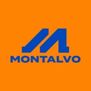 Logo Montalvo Institute