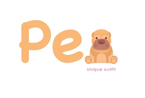 Logo PEI CORPORATION SAC